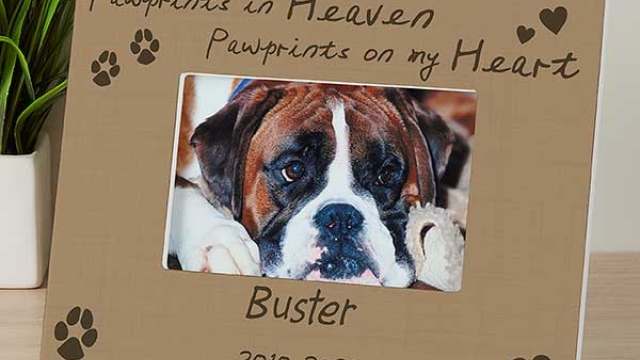 Forever Remembered: Honoring Our Beloved Pets Through Pet Memorials