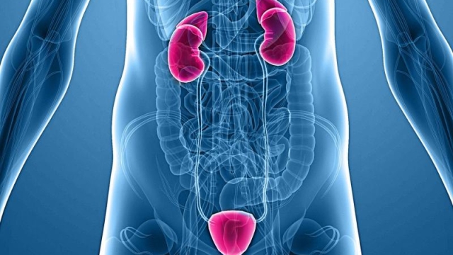 The Secret World of Urology: Unveiling the Mysteries