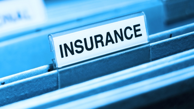 Protect Your Prosperity: The Essential Guide to Commercial Property Insurance