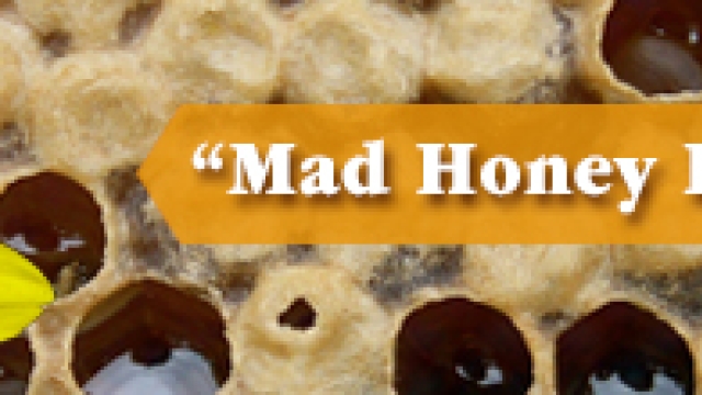 Nature’s Sweet Poison: Exploring the Buzz around Mad Honey