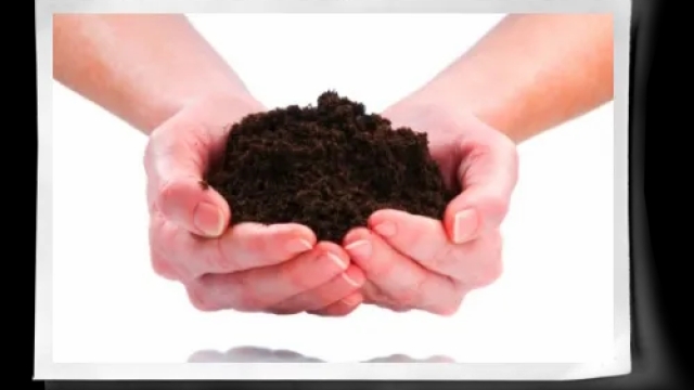 Digging Deeper: Unlocking the Secrets of Organic Soil