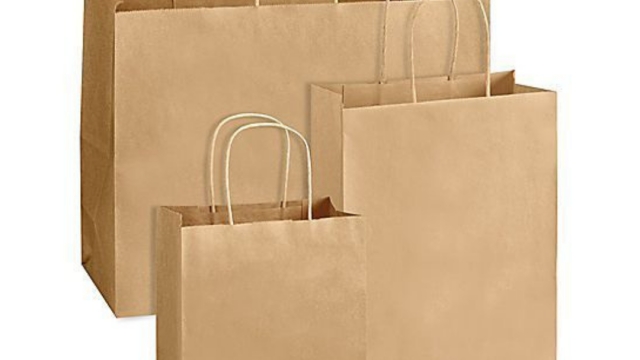 Unveiling the Simplicity and Versatility of White Paper Bags