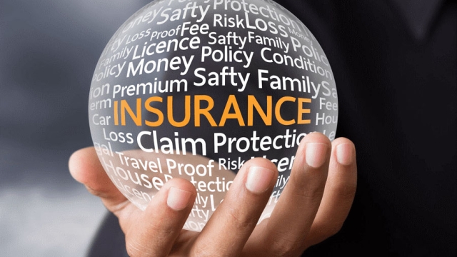 Guarding Your Business: The Small Business Insurance Guide