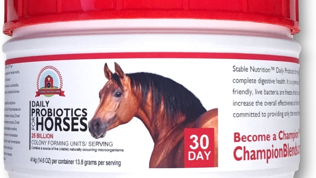 The A-Z Guide to Enhancing Equine Health: Unveiling the Power of Horse Health Supplements