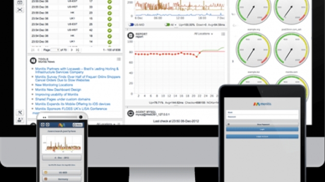 The Online Watch: Demystifying Web Monitoring