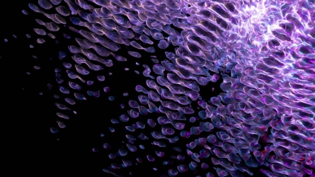 The Importance of Professional Animation in Business Marketing