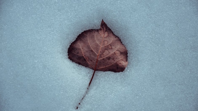 Benefits of Energy Efficient Pool Covers